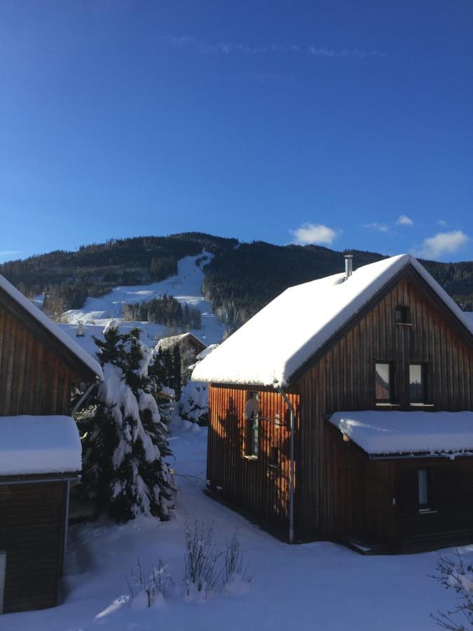 Alpenferienhaus Kreischberg * Sankt Lorenzen ob Murau