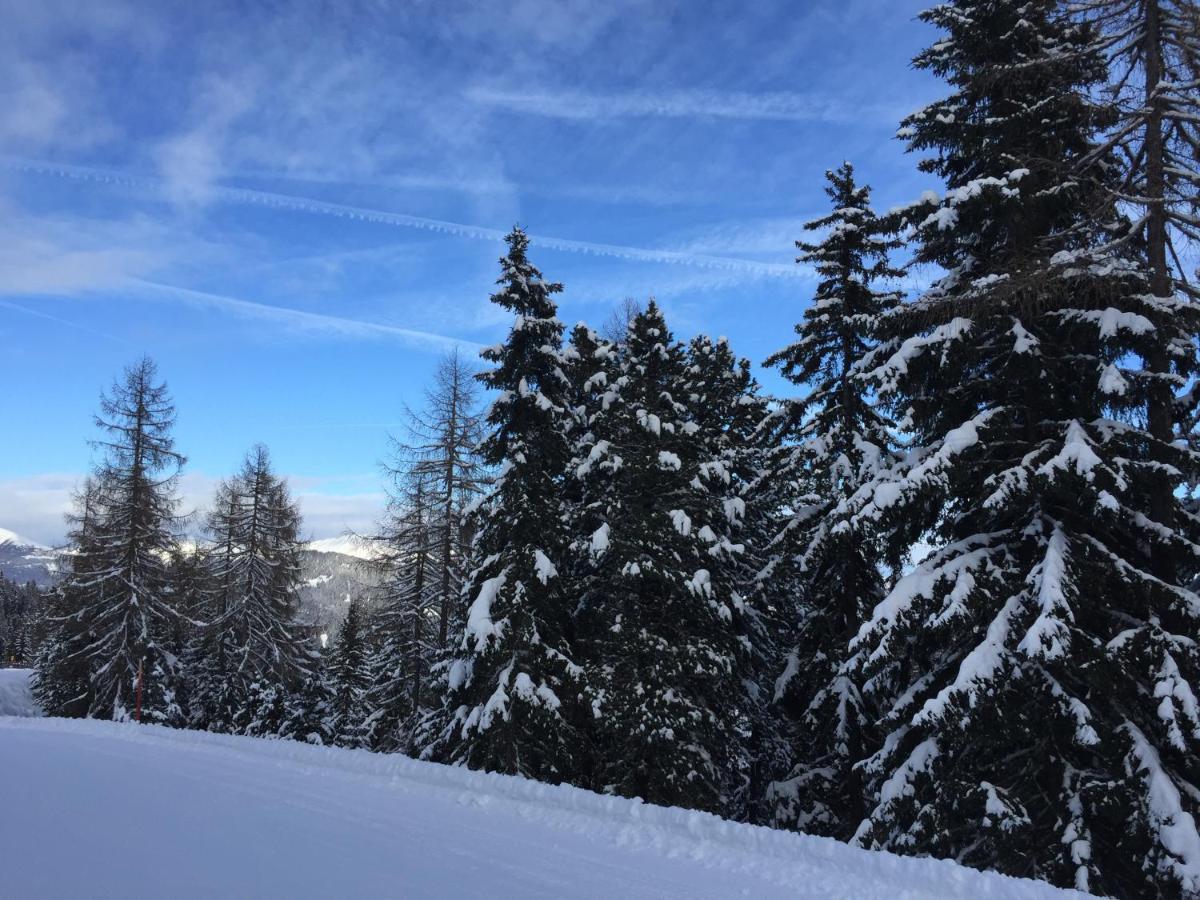 Alpenferienhaus Kreischberg Holiday home Sankt Lorenzen ob Murau