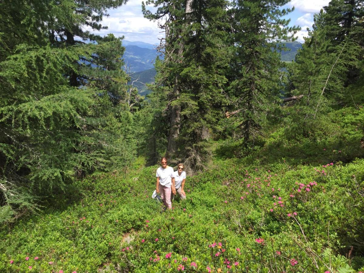 Alpenferienhaus Kreischberg Holiday home *